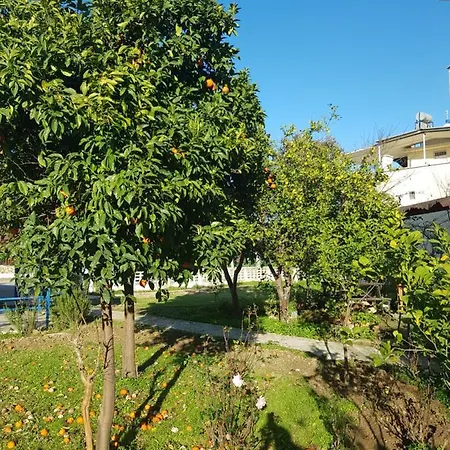 Seafront Belek Villa *